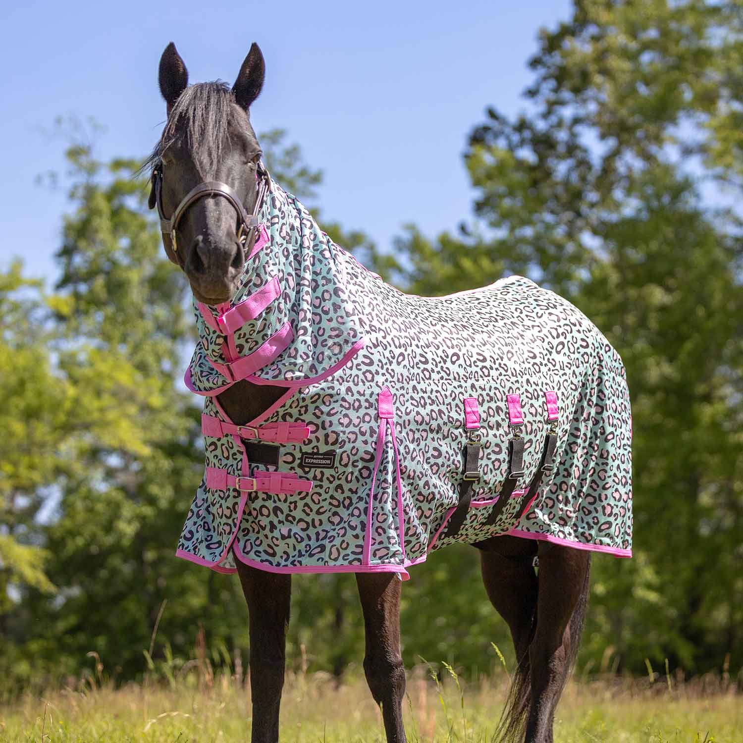 Image of Jeffers Expression Softmesh Combo Neck Horse Fly Sheet