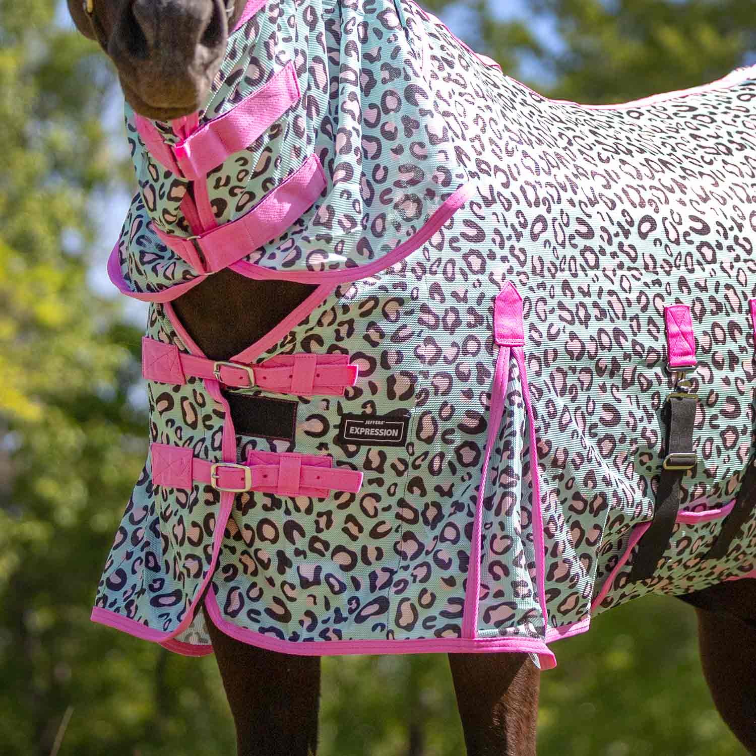 Image of Jeffers Expression Softmesh Combo Neck Horse Fly Sheet