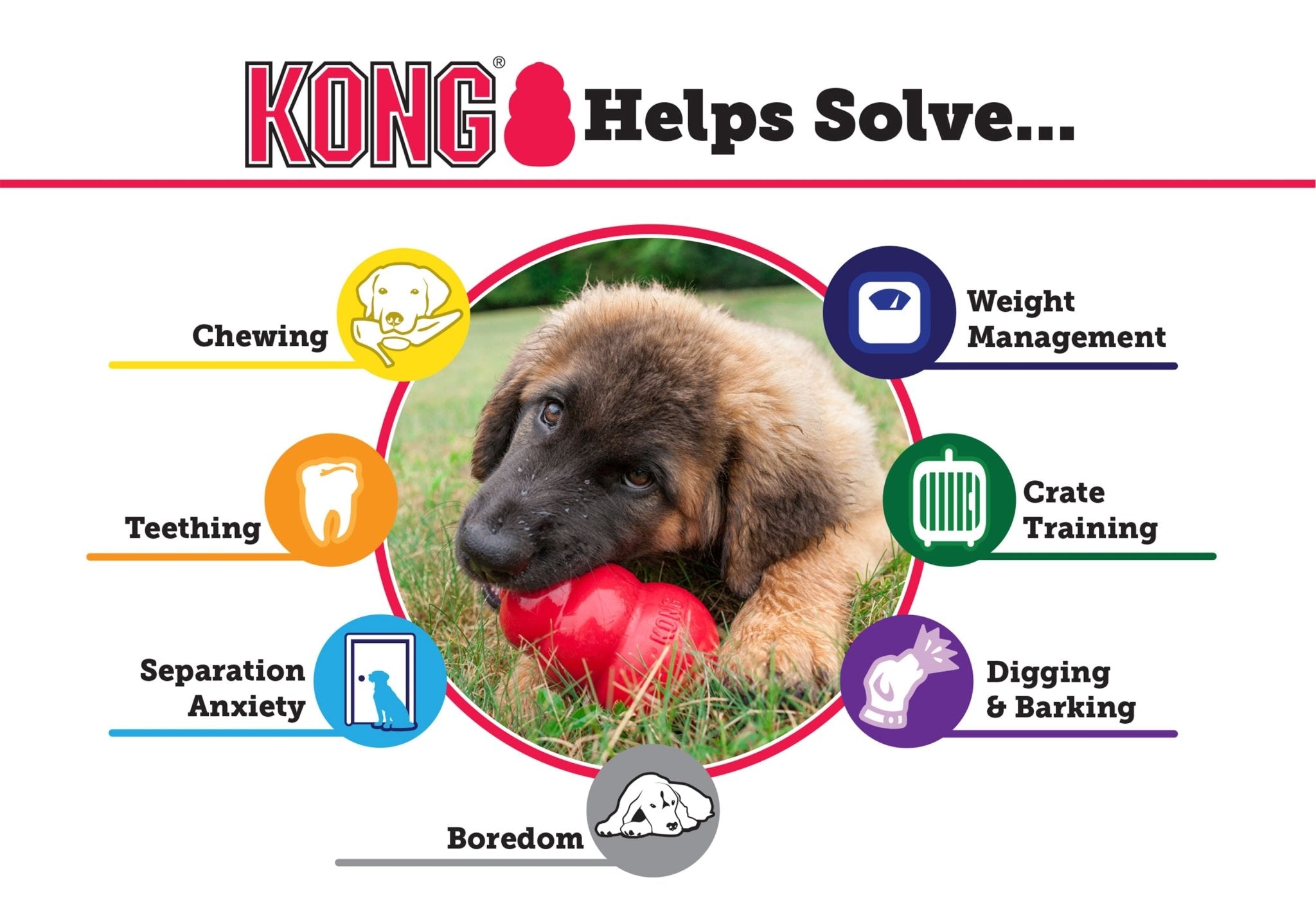 Image of Puppy KONG Treat-Stuffing Chew Dog Toy