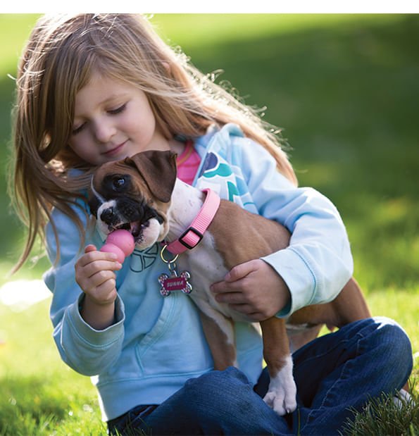 Image of Puppy KONG Treat-Stuffing Chew Dog Toy