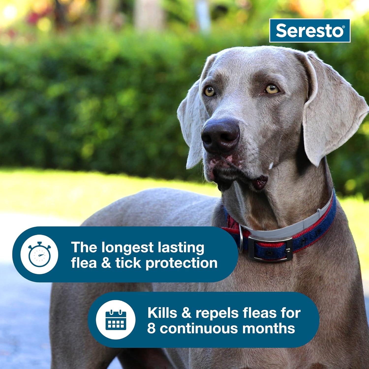 Image of Seresto Flea & Tick Dog Collars